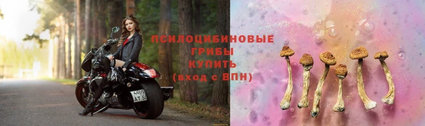 дурь Арсеньев