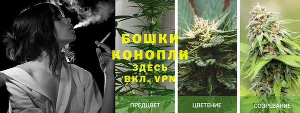 твердый Аркадак