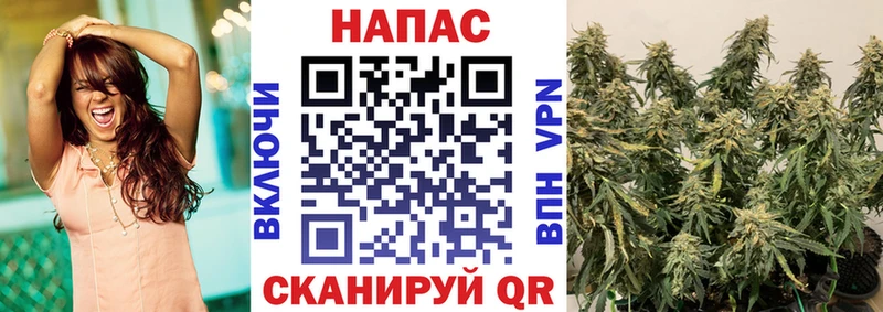Канабис семена Чернушка
